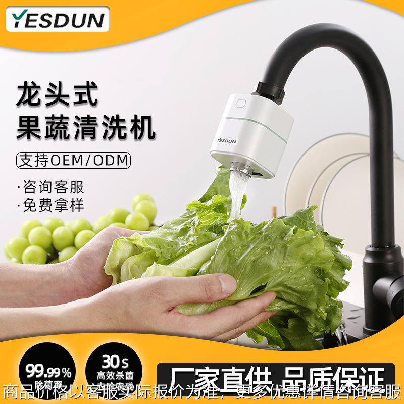 便携式智能食材果蔬净化器新款家用活氧消毒除菌去农残水果清洗机