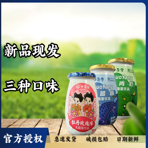 洛阳礼物白马寺小胖瓶牡丹玫瑰蓝莓青柠AD钙口味乳酸菌饮品180g