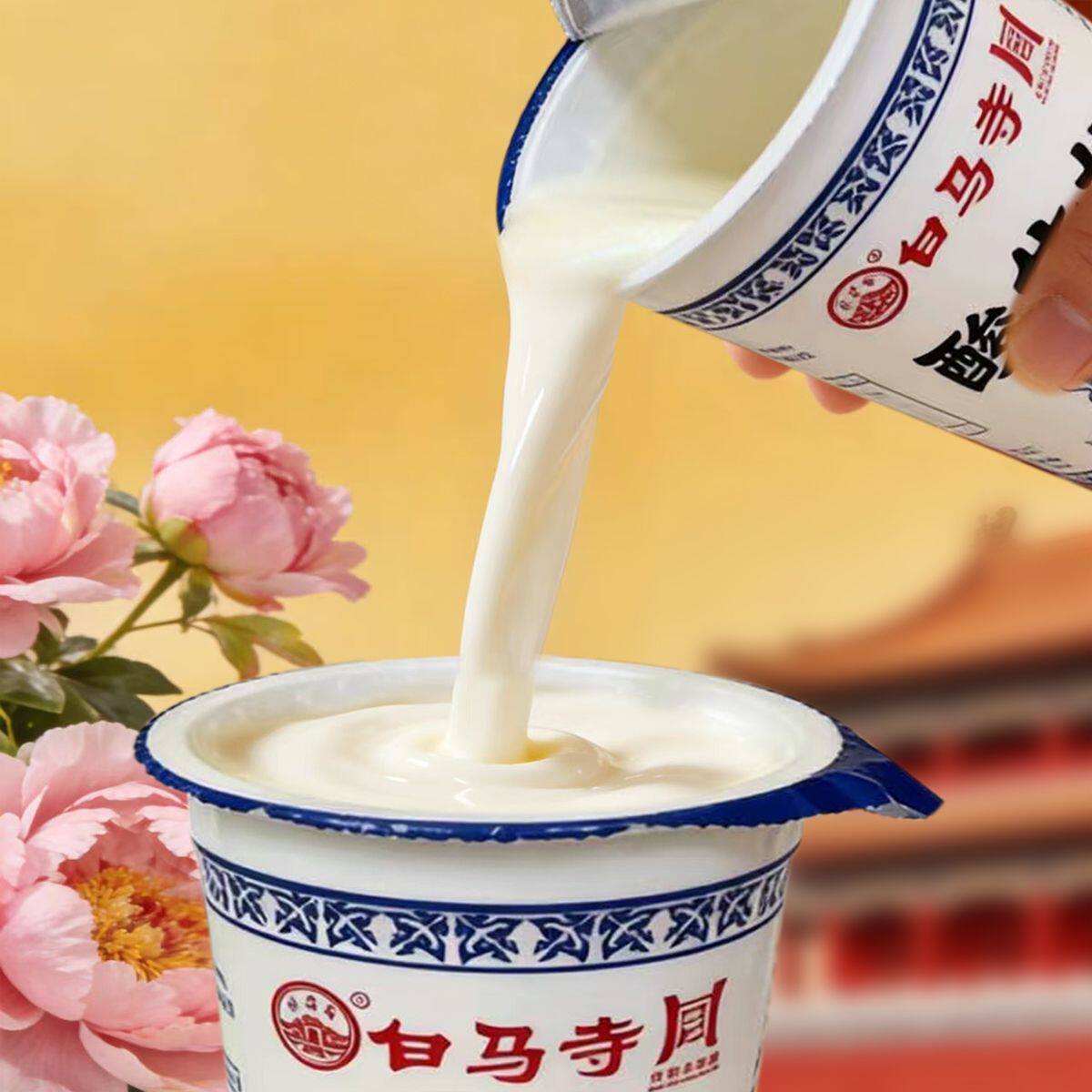 洛阳白马寺酸奶杯装160g/杯风味酸牛奶生牛乳发酵学生营养早餐奶图片
