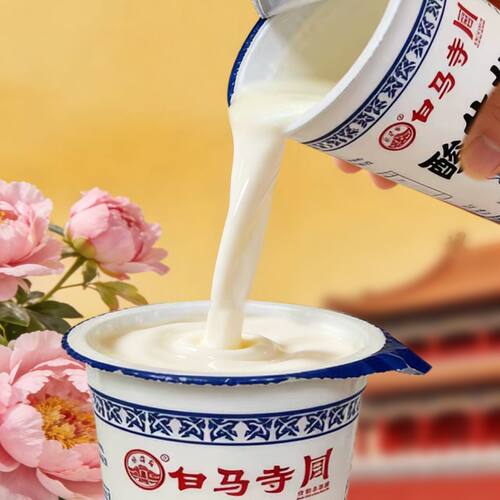 洛阳白马寺酸奶杯装160g/杯风味酸牛奶生牛乳发酵学生营养早餐奶