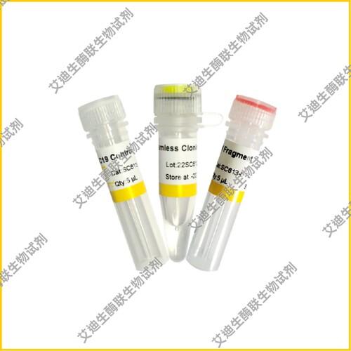 Uniclone一步法无缝克隆试剂盒Ver.2,简单快速高效无缝克隆试剂盒