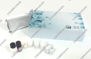 晶美 植物多酚氧化酶(PPO)ELISA科研试剂盒 酶联免疫试剂盒 折扣