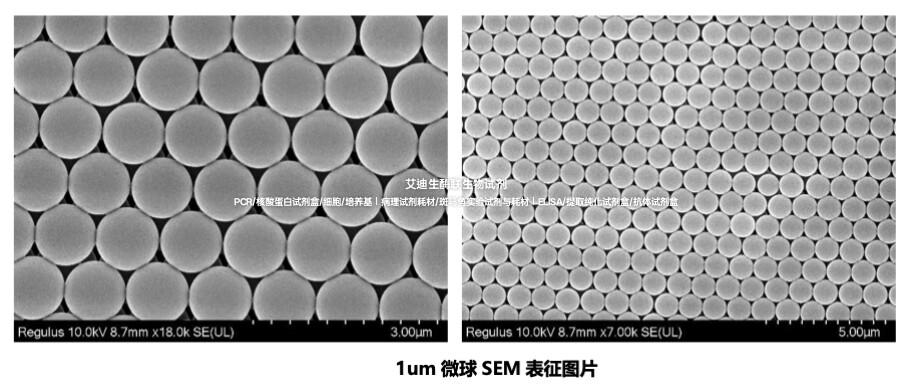 AIE羧基修饰的白色聚苯乙烯微球 共价偶联抗原/抗体多肽/核酸探针