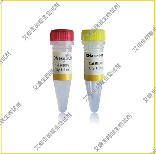 DNase I(RNase-free)(1000U)核酸内切酶，用于各种RNA样品的纯化