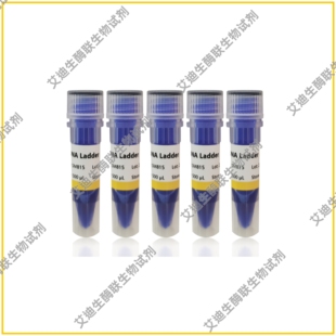 50 bp DNA Ladder独特研发技术/不易降解;条带大小精准/带型清晰