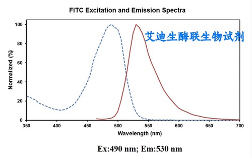 Elabscience FITC标记的抗小鼠CD8a抗体[53-6.7],流式抗体，一抗