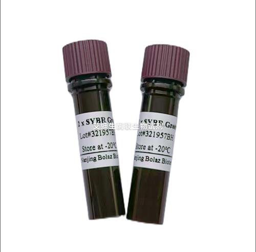 BOLAZ 2×SYBR Green qPCR Mix(High ROX) 嵌合荧光法荧光定量PCR