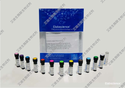 Elabscience一抗 PE抗小鼠CD86抗体[GL-1] PE抗-小鼠CD86流式抗体