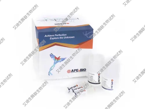 APExBIO 通用型探针法qPCR预混液 SYBR Green I预混液 qPCR试剂盒