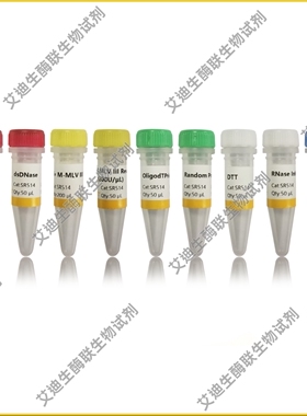UnionScript第一链cDNA合成试剂盒(含dsDNase)用于PCR/qPCR等实验