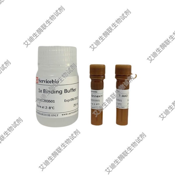 Annexin V-PE/7-AAD细胞凋亡检测试剂盒（橙红光PE+粉红光7-AAD）