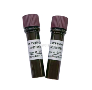 BOLAZ 2×SYBR Green qPCR Mix,No Rox用于嵌合荧光法荧光定量PCR
