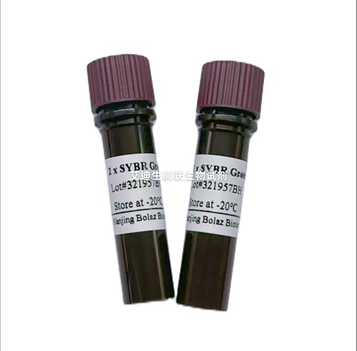 BOLAZ 2×SYBR Green qPCR Mix,No Rox用于嵌合荧光法荧光定量PCR