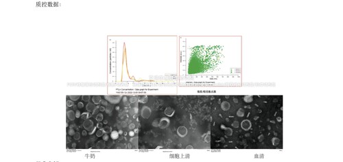 umibio®外泌体提取试剂盒(乳液)快速高效获得乳液中的外泌体颗粒