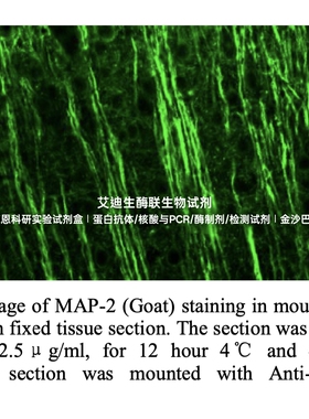 Bioworld鼠抗羊FITC/鼠抗羊TRITC荧光二抗试剂盒免疫组化辅助试剂