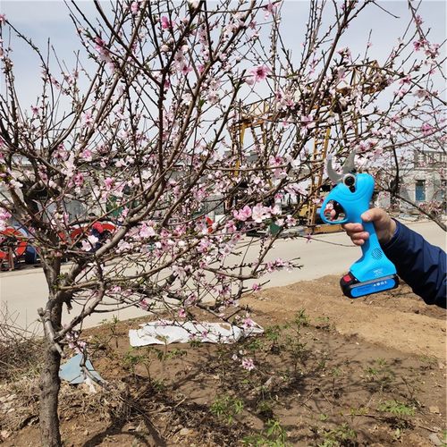 电动修枝剪 园艺电动剪刀4公分果树修枝机 便携式修枝剪