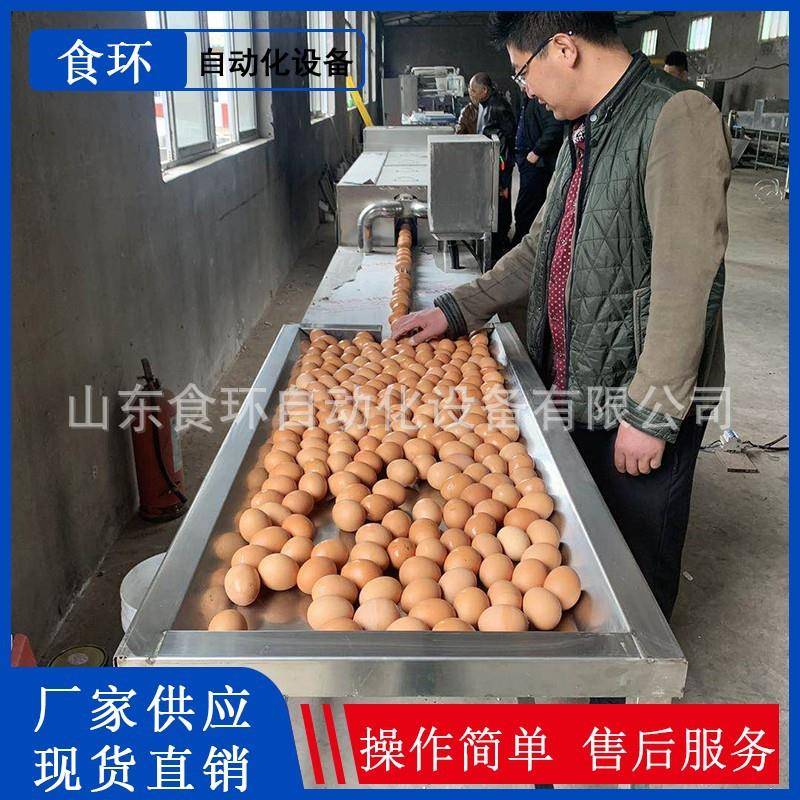 小型鸡蛋清洗机鸡鸭蛋清洗机鸡蛋清洗杀菌风干机热水喷淋清洗
