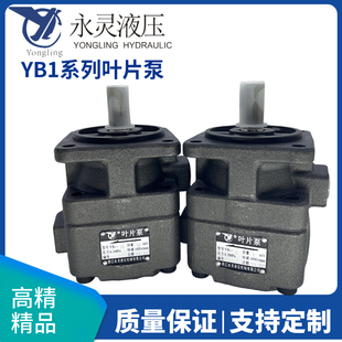 125油泵 6.3 12.5 仙居永灵叶片泵YB1 100