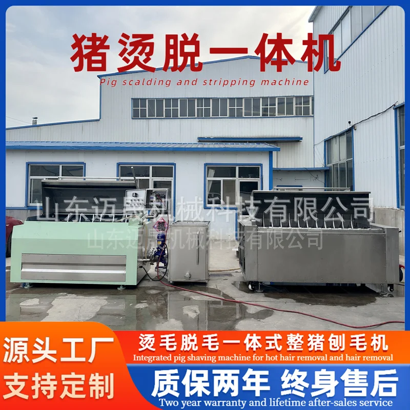 全自动生猪脱毛机整猪脱毛机厂家猪烫脱一体机设备连续式猪打毛机