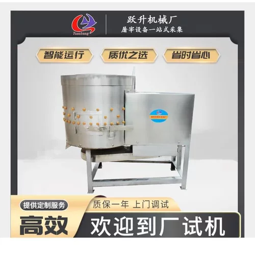 小型鸽子打毛机家禽屠宰机械设备厂家全自动鹌鹑脱毛机现货60型