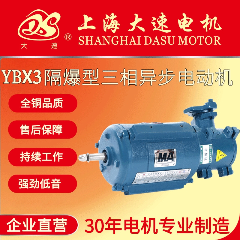 大速定制YBX3系列防爆型电机全铜线圈立式隔爆三相异步电动机