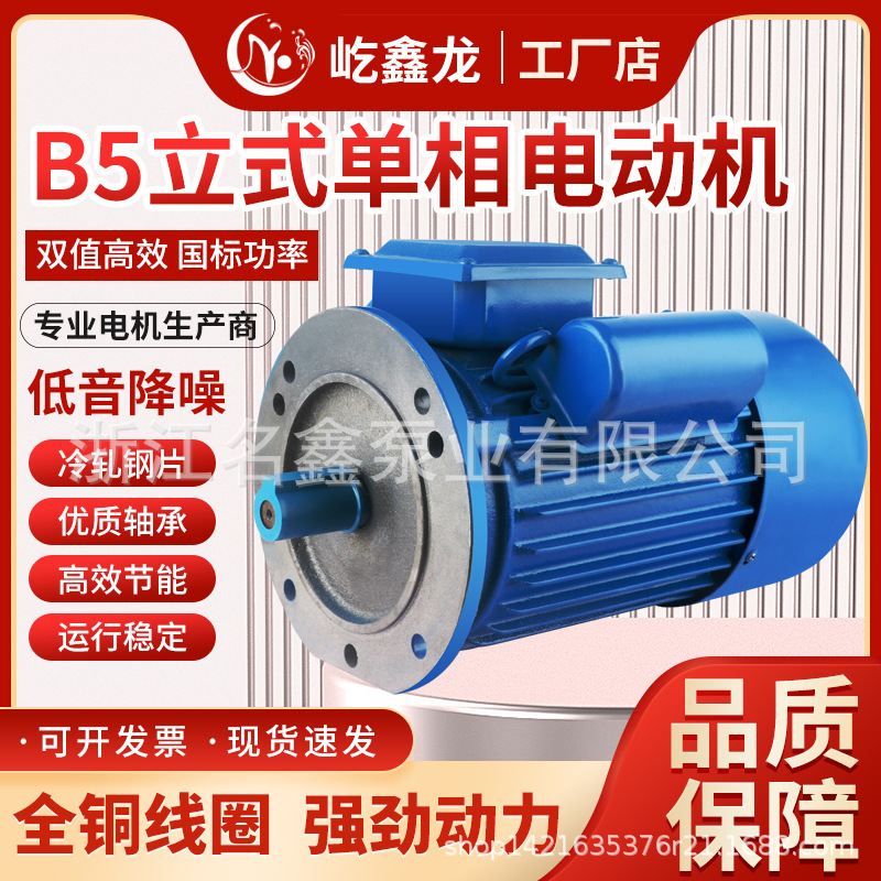 铸铁单相异步YL90电动机220v减速机电动机YL80YL100立式4极6极8极