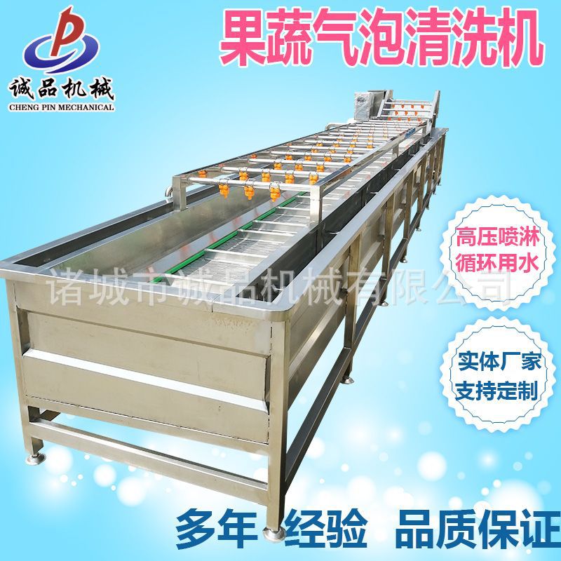 全自动果蔬气泡清洗机韭菜豆角洗果洗菜机草莓辣椒清洗风干流水线