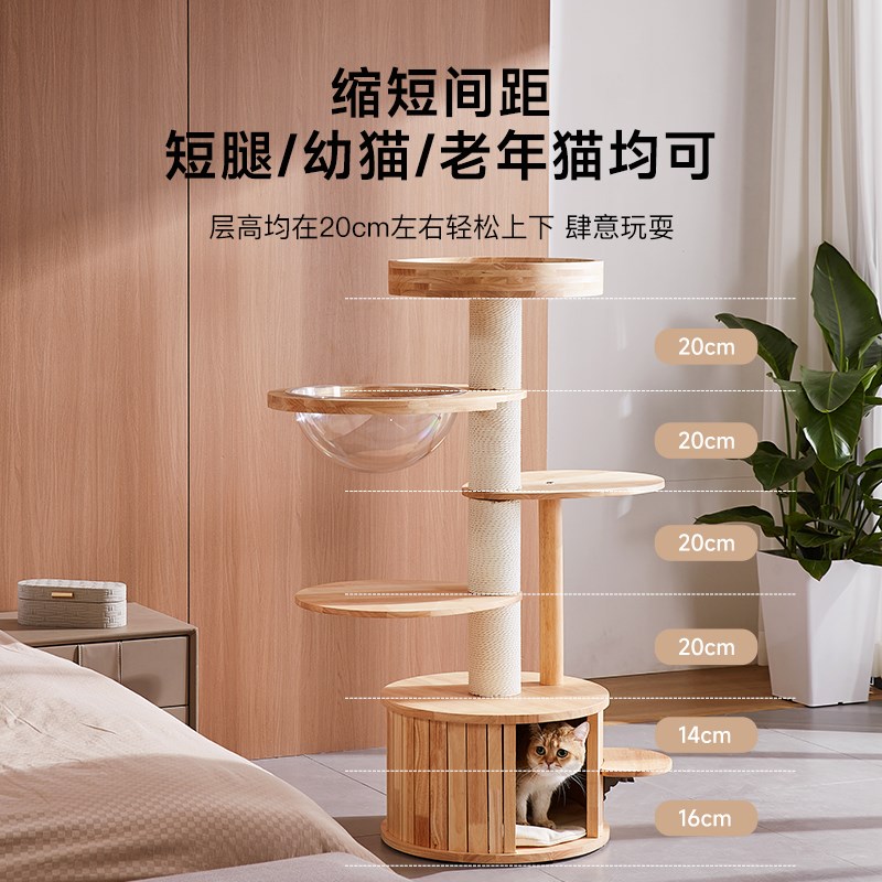 兽牌小爪实木猫爬架占地小不占地方矮脚猫夏天小户型家用猫爬架子