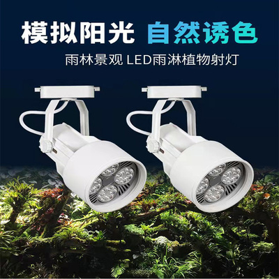 雨林缸LED射灯微景观造景水草灯水陆缸轨道全光谱植物照明灯