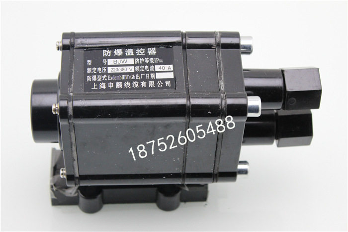 自控温电热带专用防爆温度控制器30-110度220V另有380V