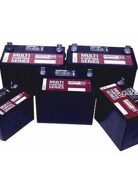 大力神(西恩迪)蓄电池C&D12-9LMBT12V9AH大力神蓄电池