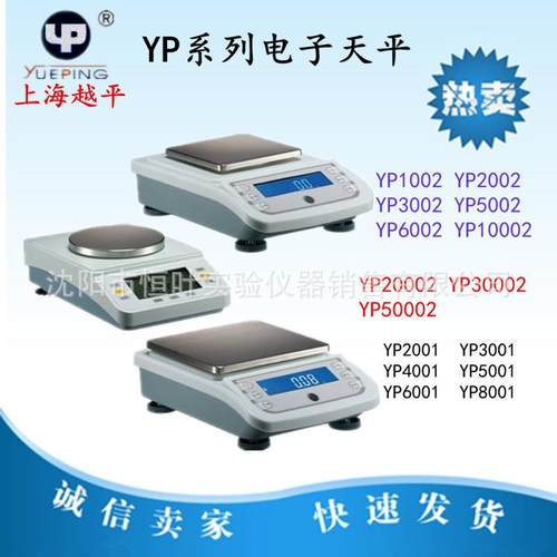 YP10022002500210002电子天平分析天平电子秤