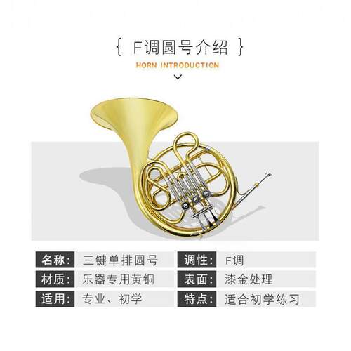 FM出口级圆号铜管号法国号专业级降B调三键单排圆号乐器