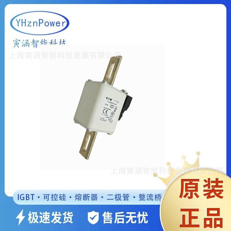 低压熔芯自恢复熔断器/保险丝170M4540170M5531170M5532