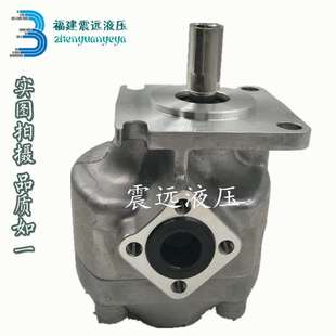 F7R F11.5R F3R F10R F9R F8R F6R F5.8R FR4 F2R F12R齿轮泵GPY