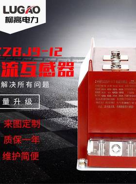 出口高压11KV电流互感器干式开关柜内用高压电流电压全封闭互感器