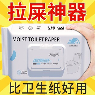 湿厕纸加大加厚升级款不连抽温和不刺激男女士专用孕妇湿厕纸厕所