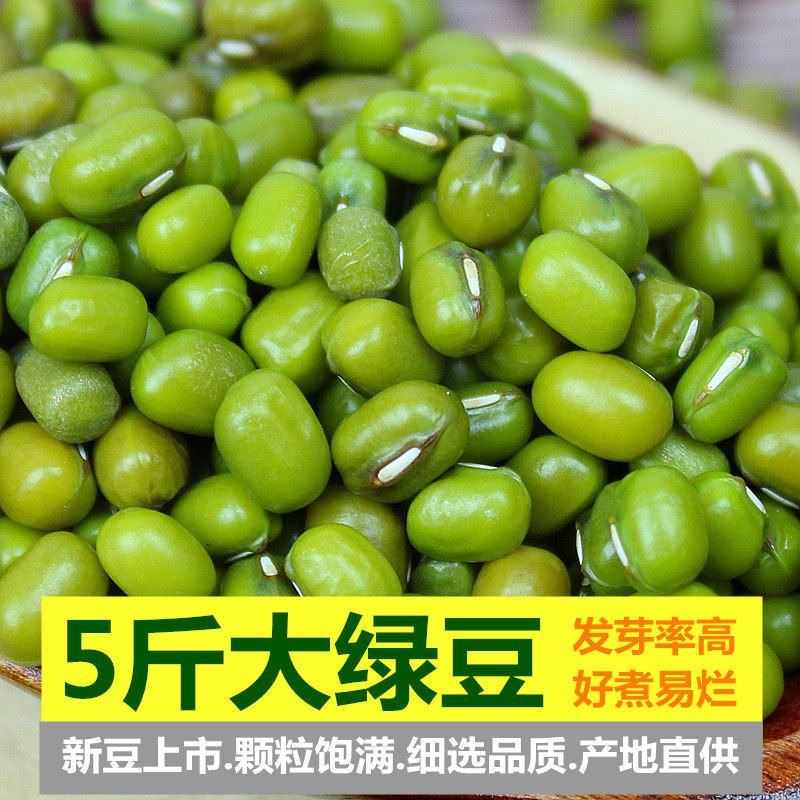 大粒绿豆新货农家绿豆去皮脱皮绿豆糕饼绿豆汤材料新鲜豆芽笨绿豆