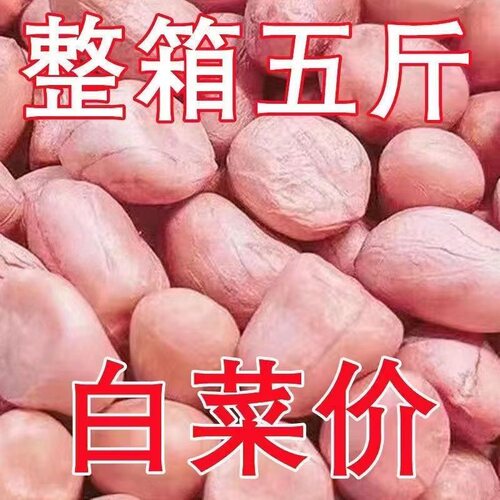 【5斤大降价】现剥新花生米新货粉皮新鲜大粒榨油白沙花生米10g装