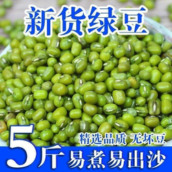 5斤绿豆批发 淄博绿豆糕原料新鲜小绿豆绿豆汤绿豆糕绿豆芽用1斤