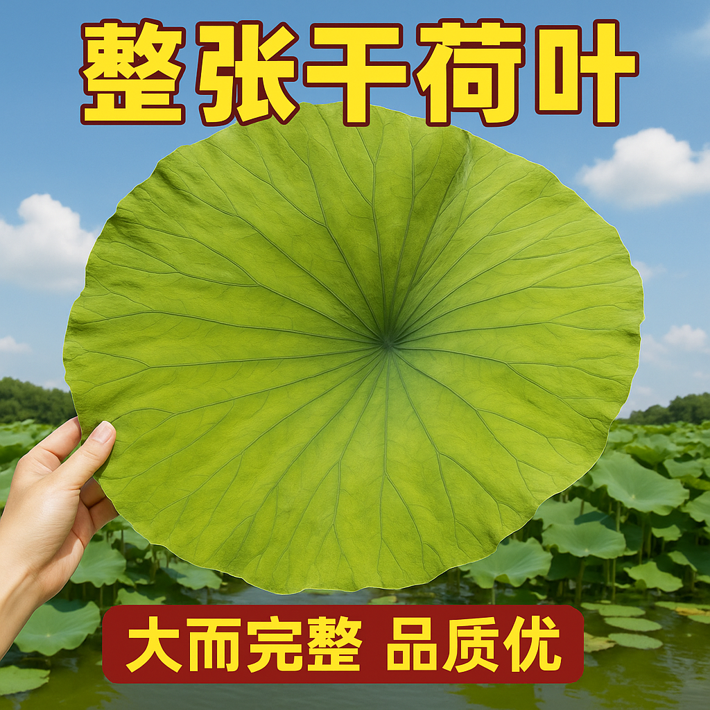 荷叶整张圆形16到22厘米干荷叶糯米鸡叫花鸡荷叶木桶饭熬粥蒸笼垫