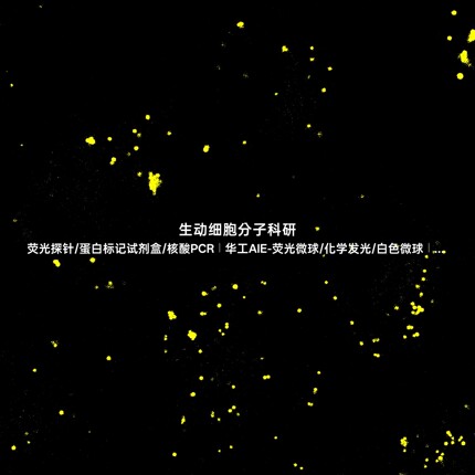 AIE脂滴黄色探针,特异性精准靶向标记活细胞与固定细胞中脂滴结构