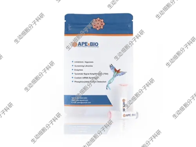 2×HyperFusion™High-Fidelity即用型高保真PCR预混液，包含染料