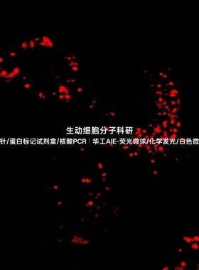 AIE溶酶体红色探针,专用靶向溶酶体荧光探针,共孵育时短,稳定性强