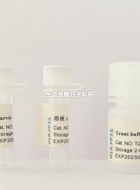 Starvio DNA & siRNA转染试剂盒 快速高效转染贴壁细胞和悬浮细胞