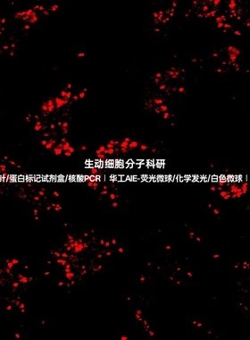 AIE脂滴红色探针,特异性精准靶向标记活细胞与固定细胞中脂滴结构