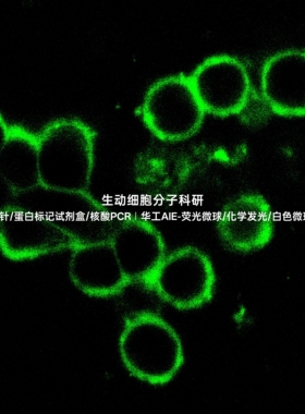 AIE细胞膜绿色探针，适用悬浮/贴壁活细胞染色，标记醛类固定细胞