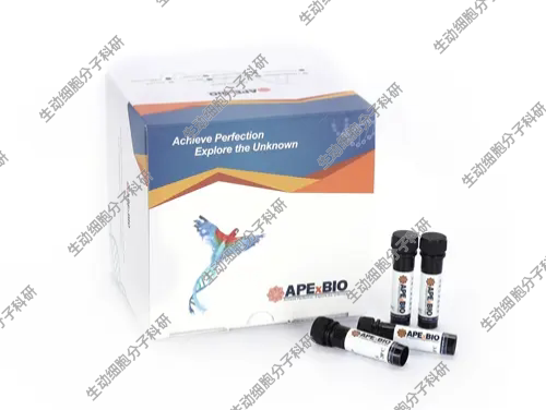 APExBIO Annexin V-APC Reagent,APC标记的Annexin V用于凋亡检测