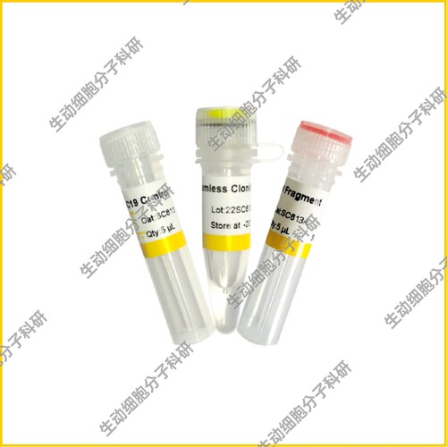 Uniclone一步法无缝克隆试剂盒Ver.2 升级版无缝克隆试剂盒 热销