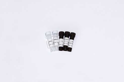 BIOGᴴᶜ染料法荧光定量PCR试剂盒 适用复杂样本靶基因的检测分析